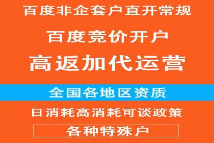 解析某某SEM服务公司如何通过数据分析优化广告效果